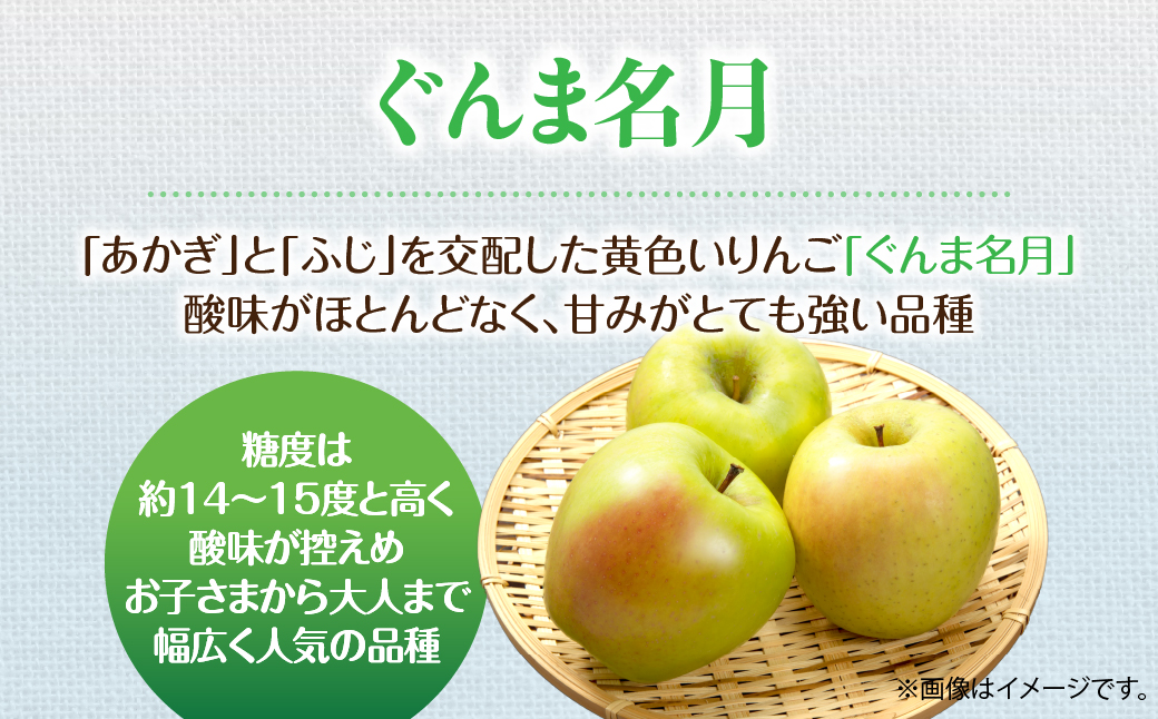 ★JAL限定★【先行予約】北海道壮瞥町産りんご「ぐんま名月」約5kg(12〜20玉)<2026年11月中旬よりお届け> SBTF013