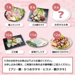 定期便 魚 12回 1年間お届け！ブリ 鯛 カンパチ カツオ しまあじ 鮮魚 お刺身 新鮮 産地直送 高知県 須崎市 ( 定期便 お魚 お刺身定期便 12回 定期便 おさかな定期便 1年 定期便 )