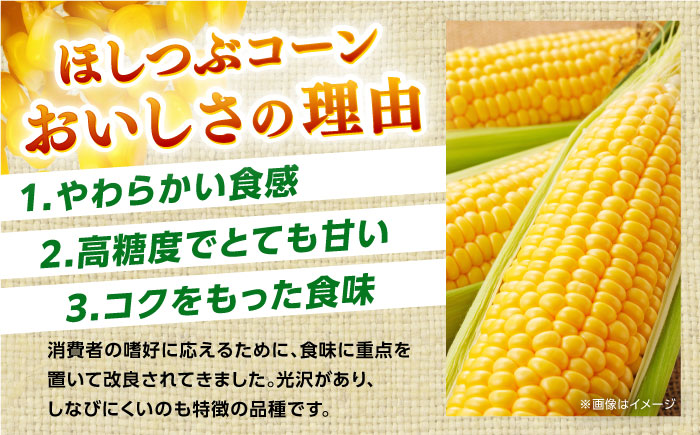 【先行予約】【７月から順次発送】葉付きスイートコーン 計約3kg 山都町産 とうもろこし 【大浜農園】 [YCE003]
