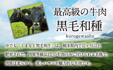 牛肉 くまもと黒毛和牛 すき焼き用 500g 桜屋《30日以内に出荷予定(土日祝除く)》熊本県 菊池市 肉 黒毛和牛 すき焼き