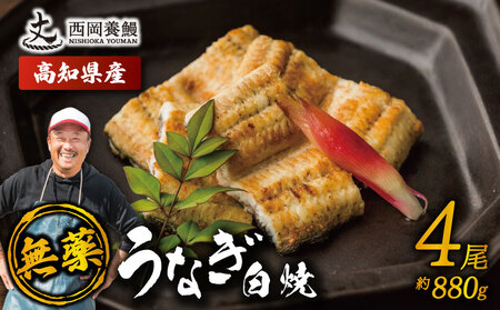 【 鰻白焼 】 国産 うなぎ白焼 880g ( 220g × 4尾 ) 