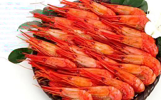 B-24003【12/17まで年内配送】 【北海道根室産】しまえび400g(25～37尾)×2P(計800g)