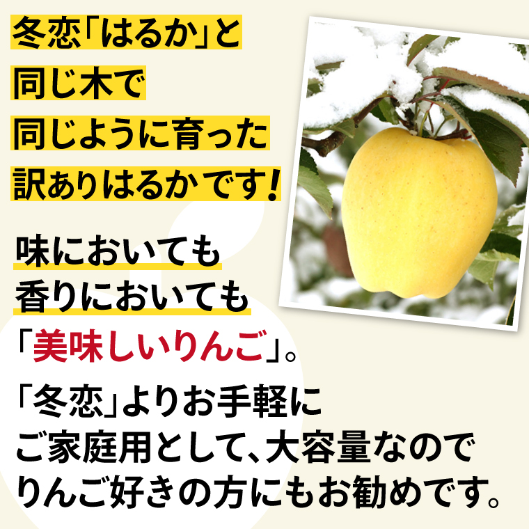 りんご はるか 「純情はるか」約2.5kg 糖度14度以上【先行予約 12月発送予定】数量限定 岩手県産 りんご リンゴ 林檎 はるか フルーツ くだもの 果物 訳あり 自家用 家庭用 【冬恋研究会】