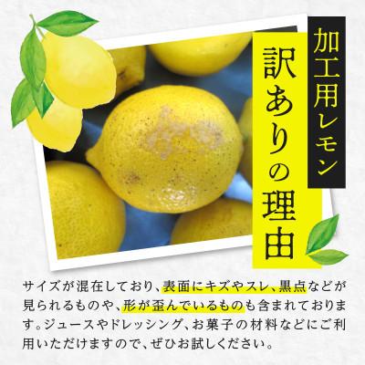 ふるさと納税 高松市 【先行受付2026年】加工用レモン(サイズ混合)　約3kg |  | 01