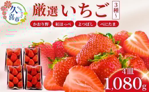 いちご 厳選いちご 3種類 食べ比べセット 2箱(270g×4) 2月発送 かおり野 紅ほっぺ よつぼし べにたま | いちご 苺 ストロベリー かおり野 紅ほっぺ よつぼし べにたま 季節限定 食べ比べ 果物 くだもの フルーツ 野菜 美味しい おいしい 甘み ほのかな酸味 デザート スイーツ ギフト 贈り物 ビタミン 埼玉県 久喜市