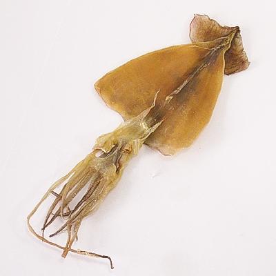 ふるさと納税 せたな町 スルメ36枚セット |  | 02