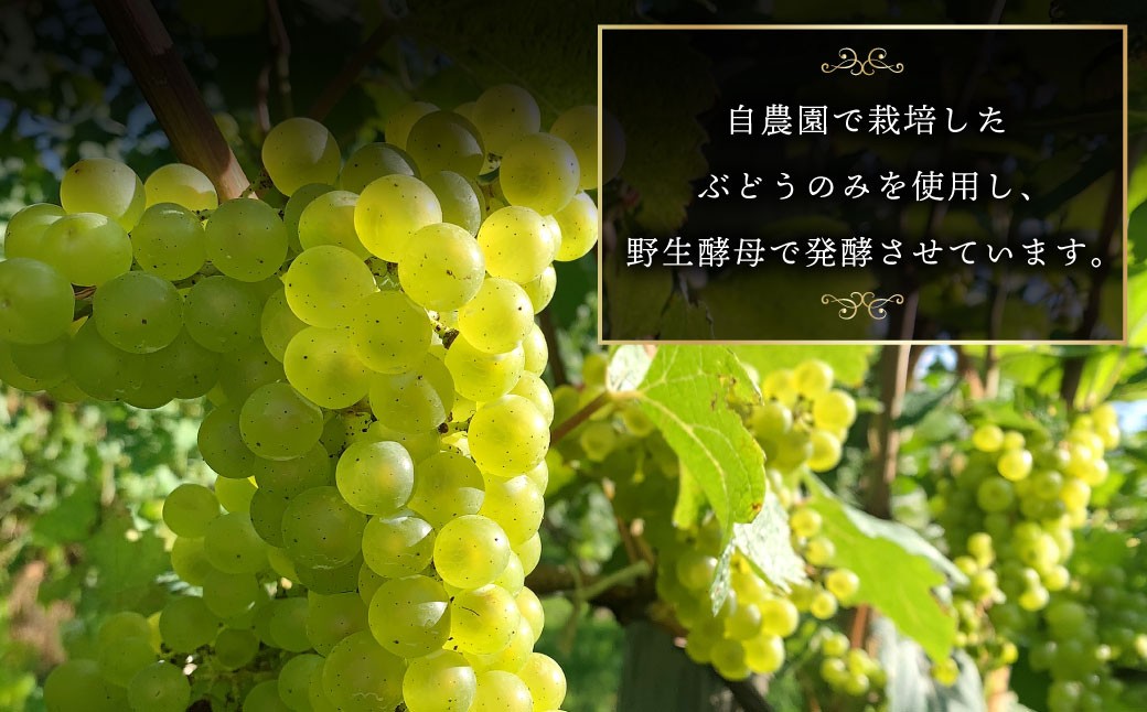 白ワインKamisato blanc2024/オレンジワイン山麓のアンバーPinot Gris2024