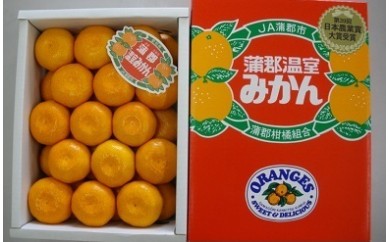【G0001】【期間限定】蒲郡温室みかん２．５ｋｇ（秀品）