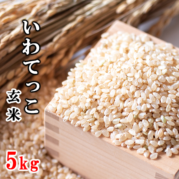 【2024年11月発送開始】 令和6年産 新米 岩手県産 いわてっこ 玄米 5kg ／ 十一代目藤助 米 産地直送 農家直送