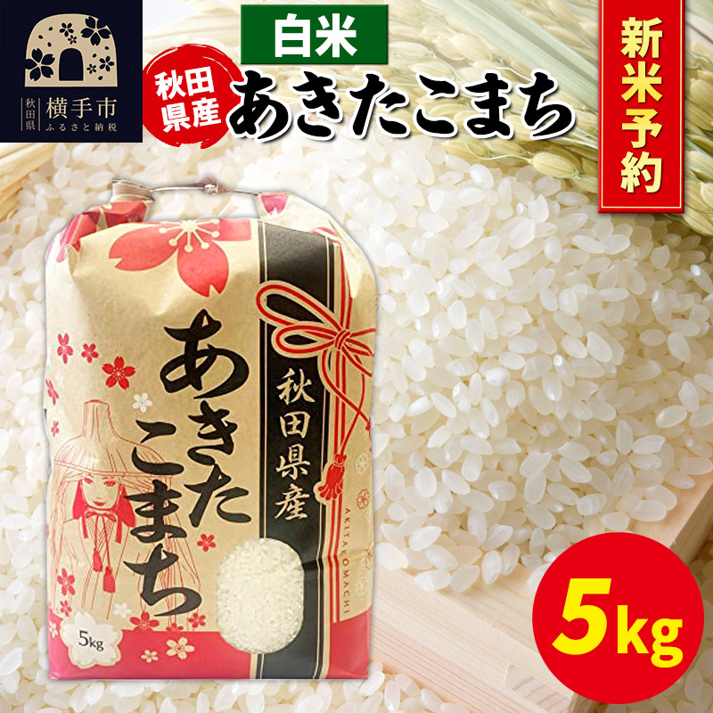 《令和7年産 新米受付》あきたこまち 5kg×1袋【白米】秋田県産 こまちライン