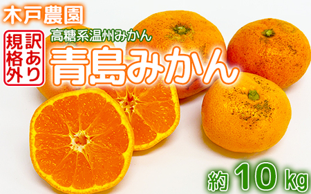 【訳あり・規格外品】木戸農園の青島 約10kg 高糖系温州みかん 期間限定発送＜113-014＞