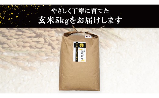 令和8年産・新米 ＜ 12月出荷 ＞ 玄米 5kg 三百年 続く農家 の 有機特別栽培米 コシヒカリ 有機栽培 農創 米 こめ コメ ごはん ご飯 精米 白米 国産 茨城県産 おいしい 新生活 プレゼ