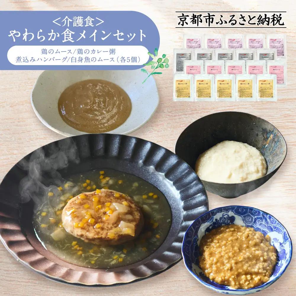 介護食 やわらか食 メインセット 鶏のムース/鶏のカレー粥/煮込みハンバーグ/白身魚のムース 各5個｜レトルト 介護食品
