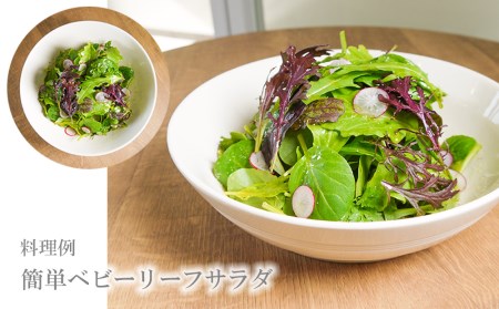 FV010_【6回定期便】大容量ベビーリーフ200ｇ×４セット 有機JAS認証取得