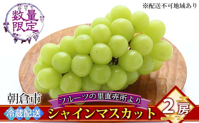 シャインマスカット 2房 フルーツの里の直売所より 葡萄 果物類 ぶどう 皮ごと 高い糖度 ※配送不可：離島