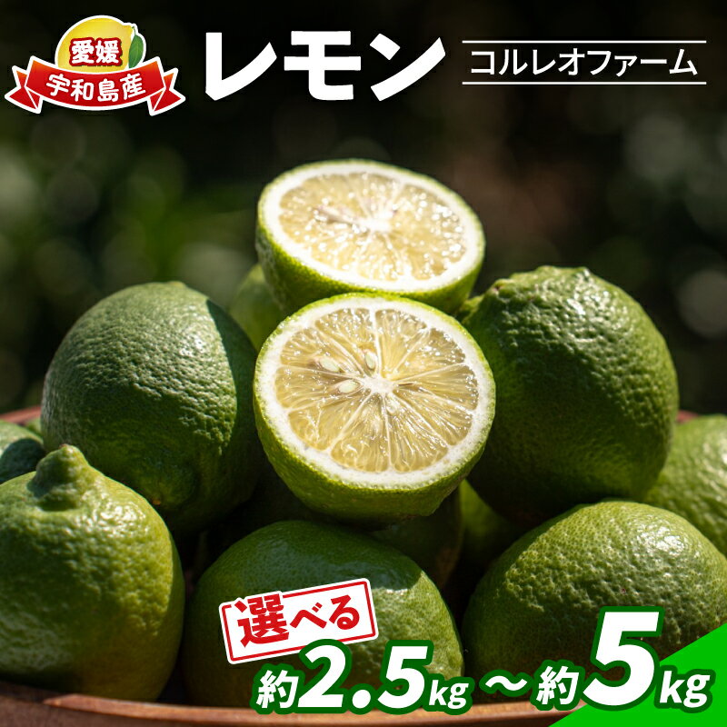 【ふるさと納税】 レモン 選べる 内容量 2.5kg ~ 5kg コルレオファーム 国産 防腐剤 ・ ワックス 不使用 国産レモン 先行予約 青レモン れもん remon 檸檬 果物 くだもの ビタミン サワー ジュース チューハイ 健康 フルーツ 柑橘 農家直送 産地直送 数量限定 愛媛 宇和島