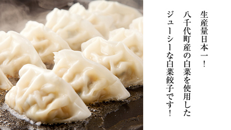 餃子 ジューシー白菜餃子150個 総重量3750g! 冷凍