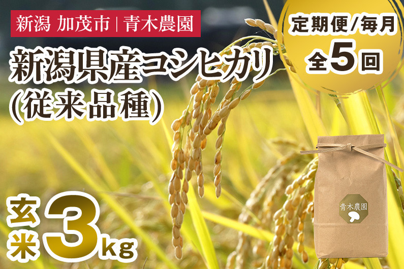 
            【令和7年産新米先行予約】【定期便5ヶ月毎月お届け】新潟県産 コシヒカリ（従来品種）玄米3kg（3kg×1袋）《10月上旬から順次発送》 玄米 白米 きのこ農家ならではの有機質肥料 お米 新潟産 コシヒカリ 加茂市 青木農園
          