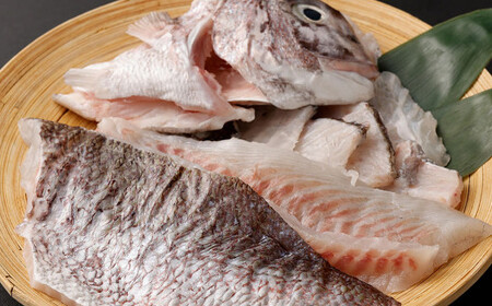 ＜ R8年熊本地震復興支援 ＞真鯛 1尾 食べ尽くし セット(3枚卸) 計720g【fireshR】 魚 白身