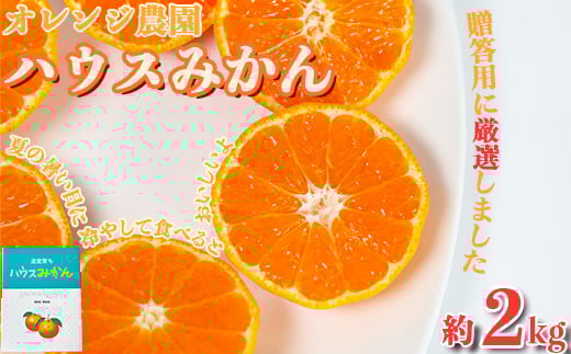 オレンジ農園のハウスみかん　約2kg みかん 柑橘 先行予約 7月 8月 フルーツ ＜114-002_6＞