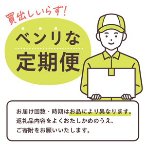 【定期便】MAKE BALANCE ソイプロテイン プレーン（3か月連続お届け） 【0105-007-3】 ｿｲ ﾌﾟﾛﾃｲﾝ SOY 健康食品 美容食品 大豆 ﾀﾝﾊﾟｸ質 低ｶﾛﾘｰ 乳不使用 食