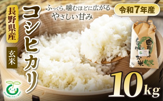 コシヒカリ 玄米 10kg 信州 安曇野 松川村産 特別栽培米 | そば処こうや 米 こめ コメ お米 玄米 コシヒカリ こしひかり ライス 特別栽培米 長野県 松川村 信州