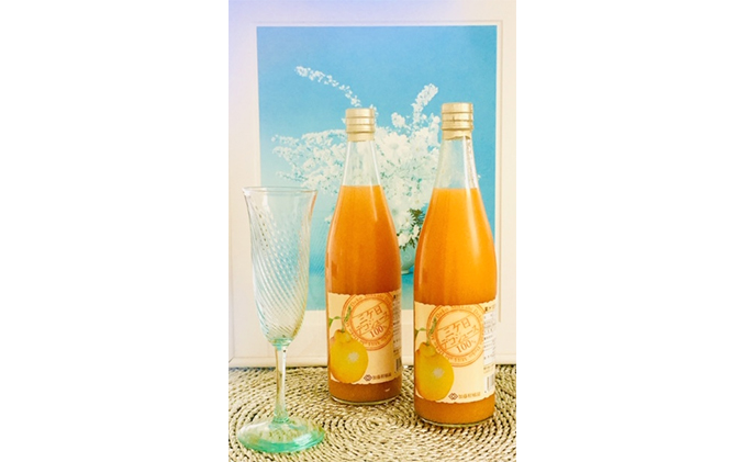 三ヶ日デコジュース100％ 720ml 3本入【配送不可：離島】