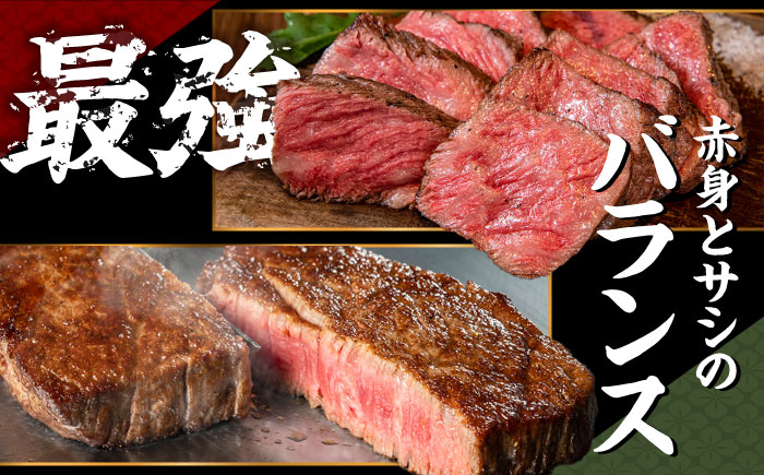 長崎和牛 サーロイン ステーキ サーロインステーキ 冷凍 九州産 焼肉 BBQ 国産 肉類 牛 肉 国産 九州産 ブランド牛 