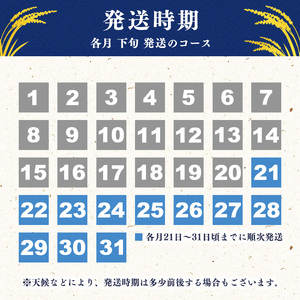 ＜ 2026年10月下旬より隔月3回 ＞【令和8年産 定期便】はえぬき計60kg！お米 定期便（20kg×3回）！清流寒河江川育ち 山形産はえぬき 2026年産　173-C-JA014-202610下