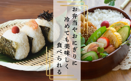 コシヒカリ 精米 30kg 令和7年産｜ コシヒカリ 千曲市 長野県 信州