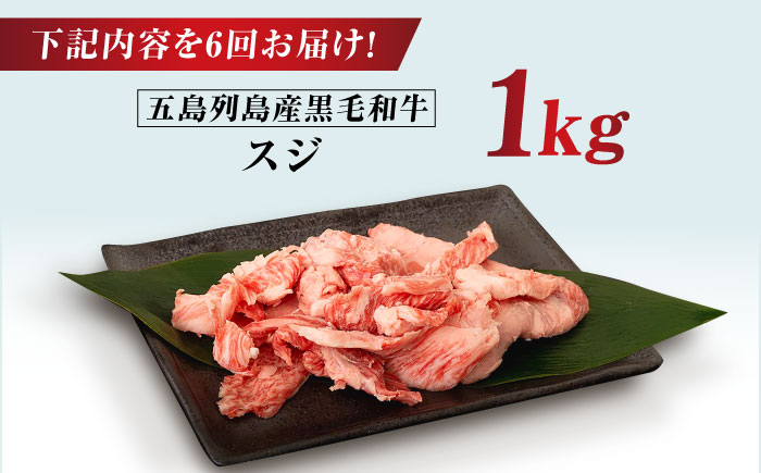 【全6回定期便】五島列島産 黒毛和牛 スジ 1kg 五島市/山口Farm [PGJ027]