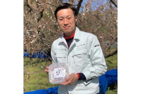 【0528-5】紀州南高梅 はちみつ梅500g、しそ梅500g 食べ比べセット