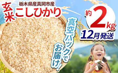 【栃木県共通返礼品】【先行予約】【ふるさと納税】毎月500個限定！令和7年度新米 栃木県産こしひかり（玄米真空パック) 約2kg  | 新米 栃木県産 こしひかり 真空 パック 米  お米 玄米 もちもち ふるさと納税 栃木県 那珂川町 送料無料