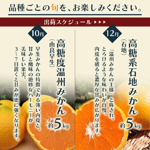 柑橘セット フジカワ果樹園 新季節 みかん 柑橘セット【定期便6回】