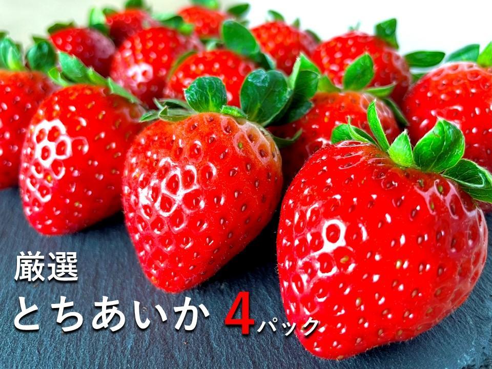 【数量限定】ＪＡなすの産地直送 ５４年連続収穫量全国１位　いちご王国とちぎ　大田原市産とちあいか　1箱（270ｇ×4パック） 【Ｌサイズ以上厳選出荷】