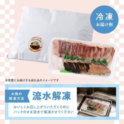 ふるさと納税 延岡市 大和海商 こだわり漁師のお刺身 6人前 |  | 02