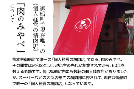 きな粉豚ロース手造りみそ漬け10枚 ※1枚ずつ真空パック 肉のみやべ《90日以内に出荷予定(土日祝除く)》