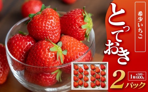 330.希少いちご『とっておき』※2026年1月中旬頃～2026年3月下旬頃に順次発送予定｜ いちご 苺 フルーツ 果物 新鮮 甘い おすすめ 人気 プレミアム 鳥取県 北栄町