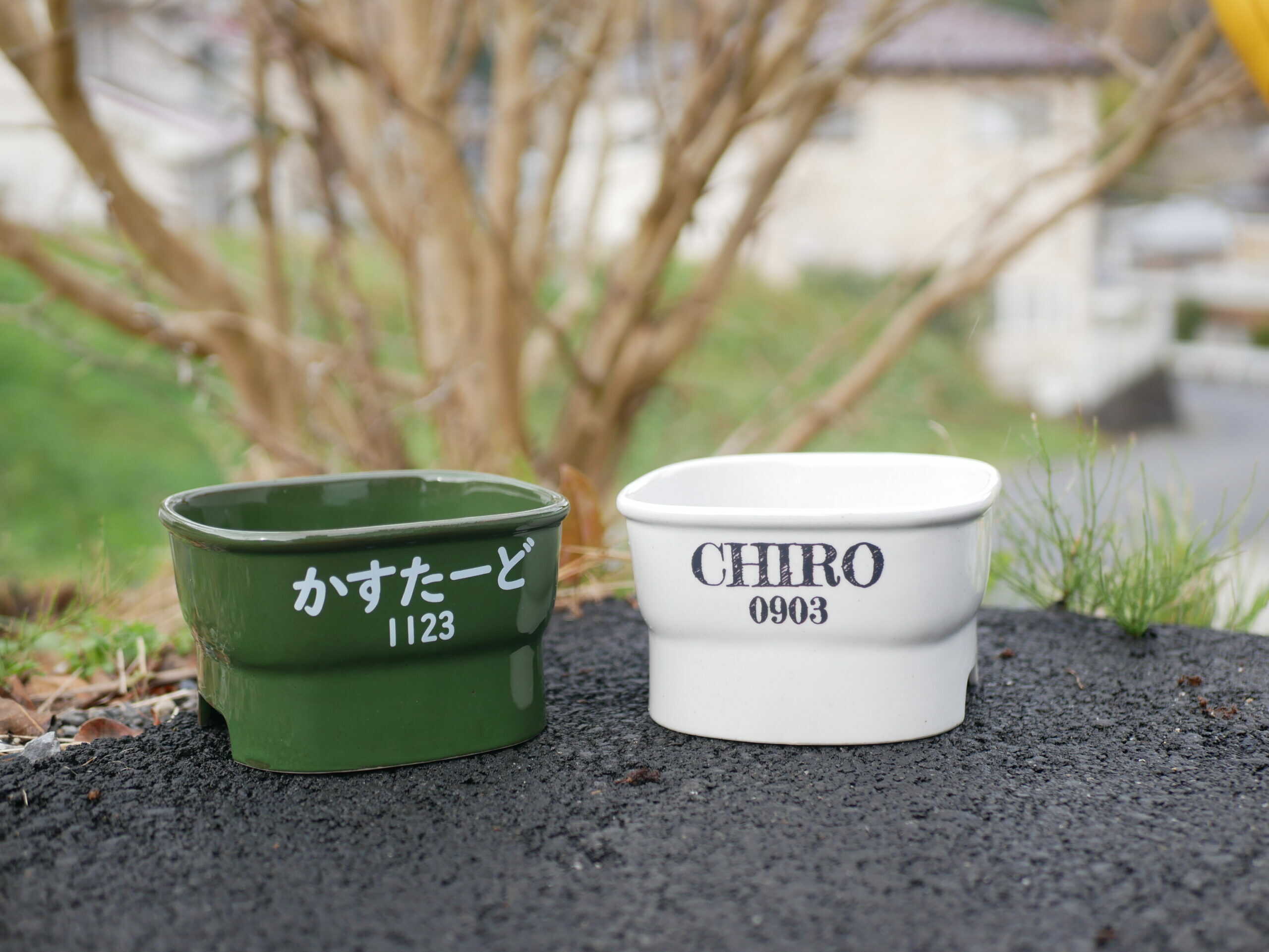 【ふるさと納税】【美濃焼】 名入れ / 色が選べる 陶器製ペット用フードボウル name&number 早食い防止 高台 中 pet107 瑞浪市 / ながしまプランニングオフィス エサ入れ 餌皿 犬 猫[AZBM111]