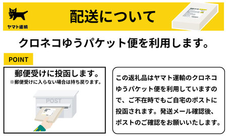 昔ながらの小城羊羹　8個入×6袋セット 山田老舗 和菓子 詰め合わせ（白練・抹茶・紅練・小倉） 切羊羹 表面シャリシャリ 羊羹小分け ゆうパケット便【A080-038】