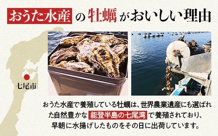 【能登半島地震復興支援】魚介類 牡蠣　/ 能登かき 殻付 牡蠣 約3.5kg（約30個）専用ナイフ・片手用軍手付 石川県 七尾市 能登 ※加熱用 ※2026年1月下旬～5月下旬頃に順次発送予定 ※離島