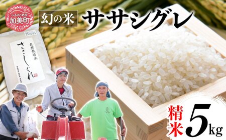 白米 令和6年産ササシグレ5kg 白米 白米 白米