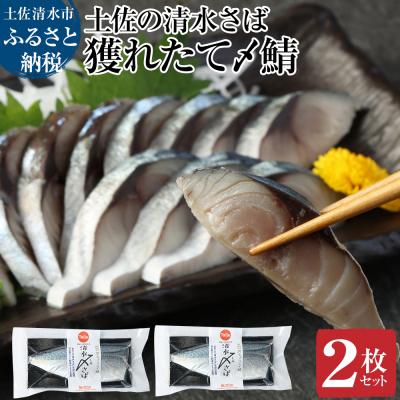 ふるさと納税 土佐清水市 獲れたて土佐の清水さば　〆鯖2枚セット(ブランドゴマサバ・1枚約170〜210g)【R00278】