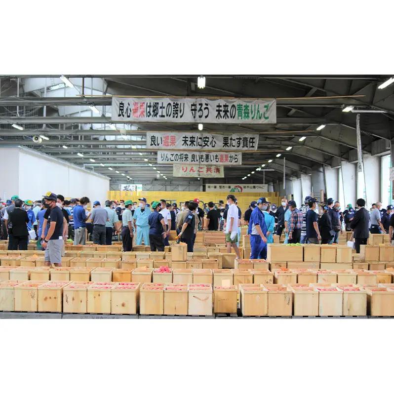 【1月発送】家庭用 サンふじ 約3kg 果物類 フルーツ 林檎 リンゴ 鶴田町 青森県 おやつ デザート