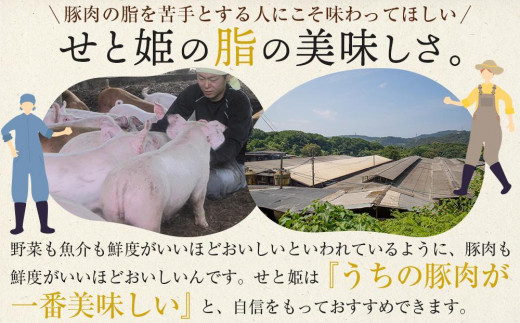 冷凍 肉「瀬戸のもち豚せと姫」たっぷりセット約2,900g (ロースステーキ・肩ロース・バラ) 広島県福山市/日本畜産株式会社 豚肉 ぶたにく しゃぶしゃぶ ステーキ 小分け [BAER024]