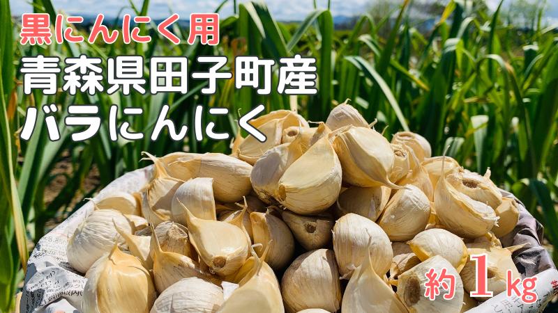 
青森県田子町産 黒にんにく用バラにんにく(乾燥) 約1kg
