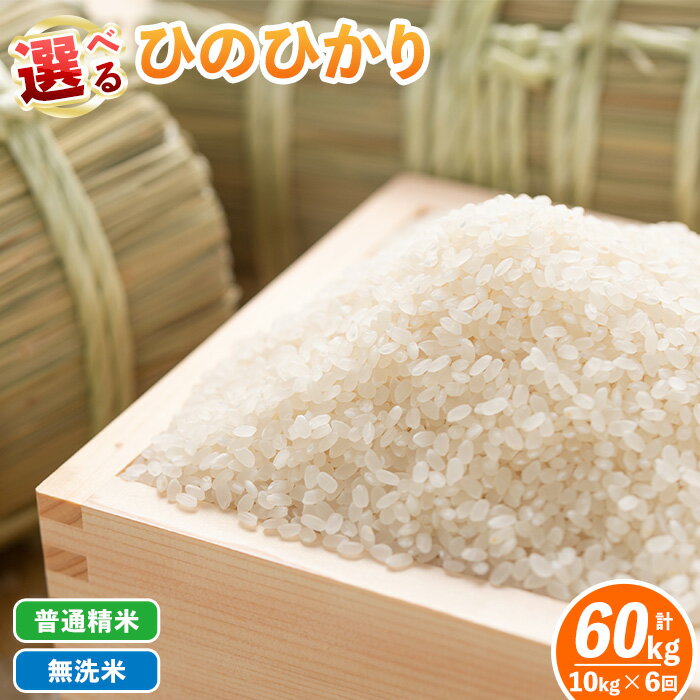 【ふるさと納税】【定期便6回】 選べる精米方法！令和7年産 鹿児島県伊佐南浦産ひのひかり (合計60kg・計10kg×6ヵ月) 国産 白米 精米 無洗米 伊佐米 お米 米 生産者 定期便 ひのひかり【Farm-K】