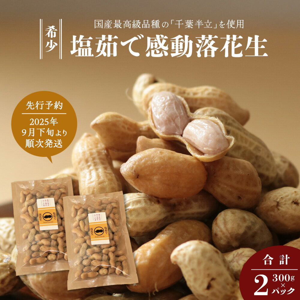 【ふるさと納税】先行予約 国産 塩茹で落花生 300 g × 2 パック 2025年9月下旬より順次発送