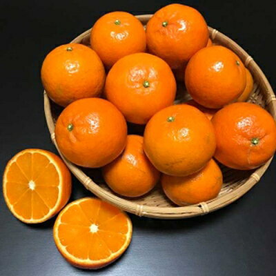 【ふるさと納税】【数量限定】鹿児島県枕崎産 山下農園の濃密こだわりたんかん 4.5Kg　B2-3【配送不可地域：離島】【1167036】