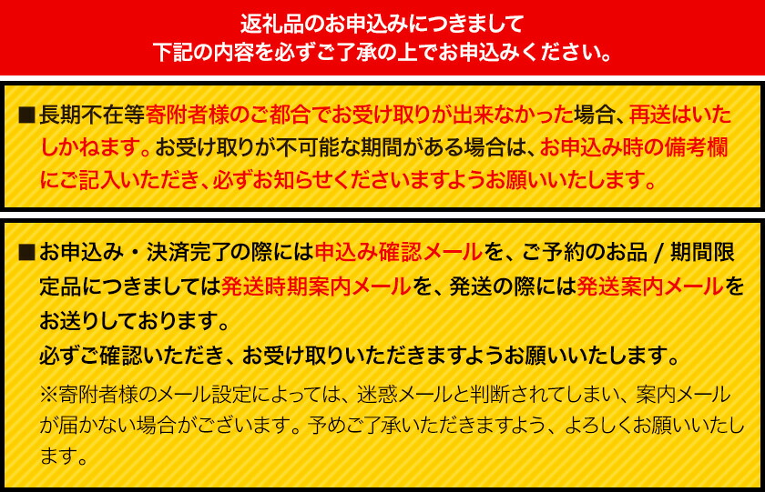 ベース弦専門店B-stringオリジナル高品質ハンドメイドベース弦 ニッケルタイプ 《30日以内に出荷予定(土日祝除く)》岡山県 笠岡市 送料無料